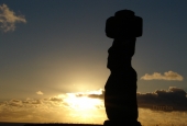 IIP Online Student Photography